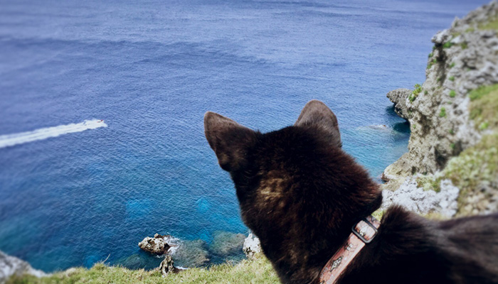 オネマヒナ | 沖縄の与那国島からお届けする島Teeやファッション、雑貨のお店